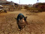 Fallout-New-Vegas.jpeg