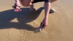 Catching GIANT beach worms.mp4