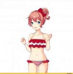 Doki-doki-Literature-club-Foreign-VN-Визуальные-новеллы-фэн[...].png