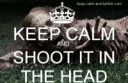 head-keep-calm-shoot-the-walking-dead-zombie-zombies-Favim.[...]