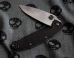 spyderco-resilience-g-10-plain-edge-4-1130610.jpg