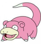 slowpoke.jpeg