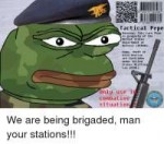 6-395219-603468-8-731689-421375-tactical-pepe-warning-this-[...].png