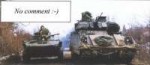 bmd-2 & bradley.jpg