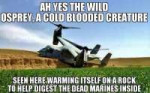 codblooded osprey.jpg