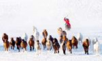 .Snow-Horseman-by-zayyarlin-Myanmar-Zay-Yar-LinAGORA-images[...].jpg