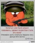 копатыч.jpg