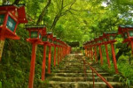 Japan-temple-forest-garden-park-summer-playground-torii-jungle-shrine-Kyoto-tree-autumn-flower-woodland-outdoor-structure-shinto-shrine-407961.jpg