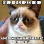 love-is-an-open-door-good-thing-i-have-paws-and-i-cant-open[...].jpg