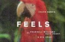 calvin-harris-feels-lyrics.jpg