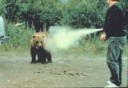 bearspray1.jpg