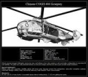 Chinese COGH-404 Gowprey.png