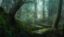 concept-art-robh-ruppel-uncharted-3-forest-2.jpg