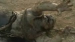 Zombie down a well .webm