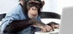 monkey-typing-585x280.jpg