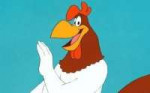 leghorn.jpg