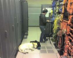 guy-dog-data-center-sean-ellis-flickr.jpg